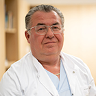 Prof. Amir Hamza