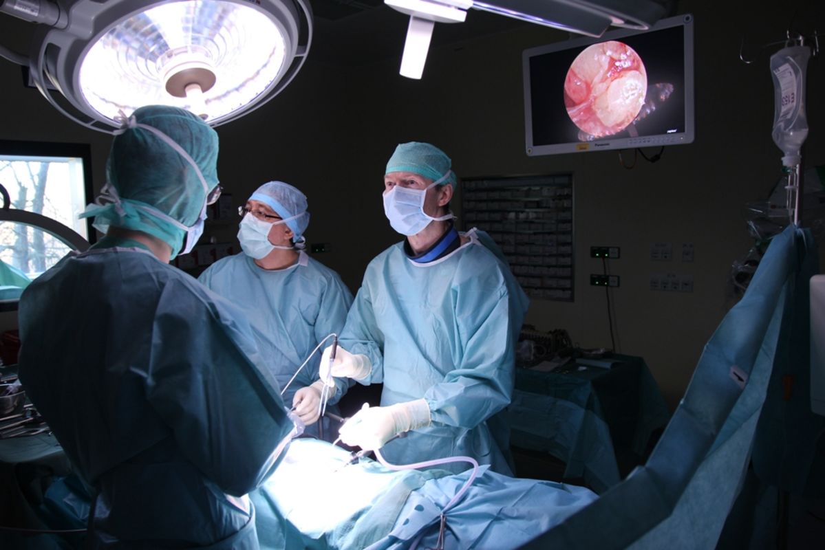 Operation an der Bandscheibe Klinikum St. führt endoskopische Behandlungsmethode neu ein